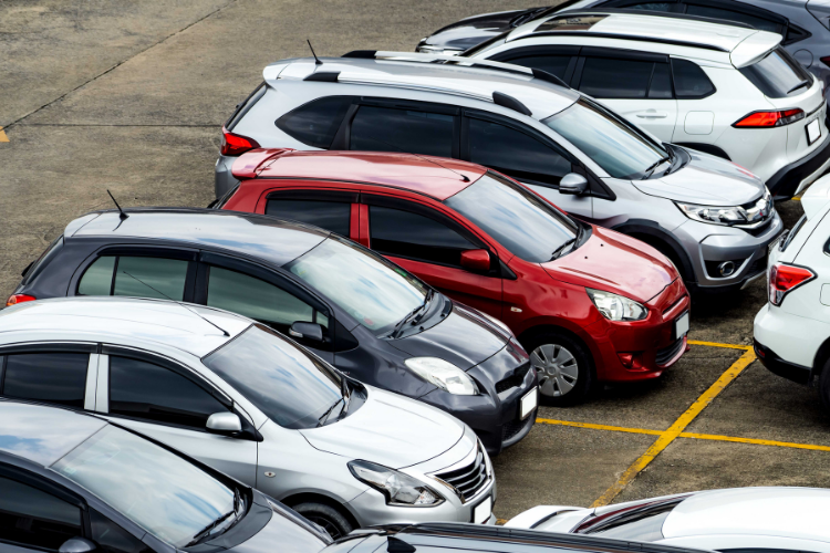 Car Rental
